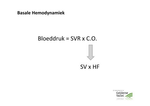 Basale Hemodynamiek