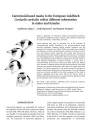 Carotenoid-based masks in the European Goldfinch ... - BioOne