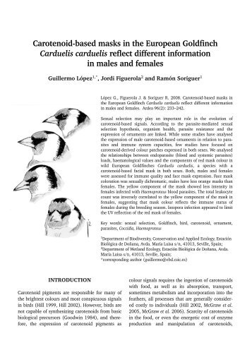 Carotenoid-based masks in the European Goldfinch ... - BioOne