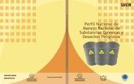 Perfil Nacional de Manejo Racional de Substancias ... - UNITAR