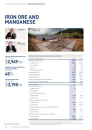 Annual report business units PDF - Anglo American
