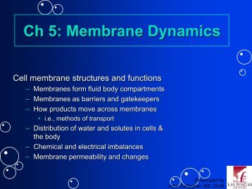 Ch 5: Membrane Dynamics