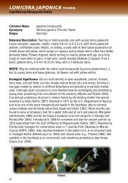 Lonicera japonica Thunb. - Florida Exotic Pest Plant Council