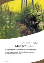 Morges-p1-30 irl.indd - STLDESIGN