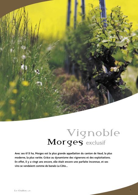 Morges-p1-30 irl.indd - STLDESIGN