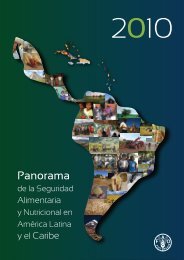 Panorama de la Seguridad Alimentaria y Nutricional en AmÃ©rica ...