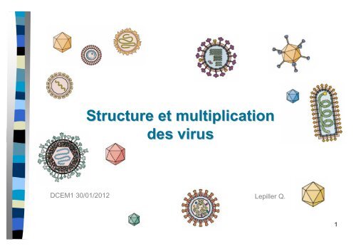 Structure et multiplication des virus