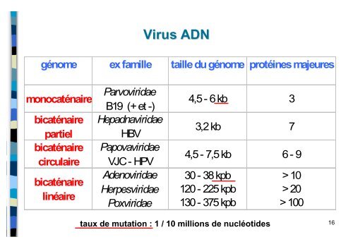 Structure et multiplication des virus