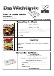 KW 36/11 - Presse Schiessl