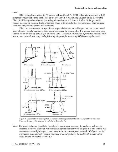 Permanent Forest Plot Project (PFPP) - EREN