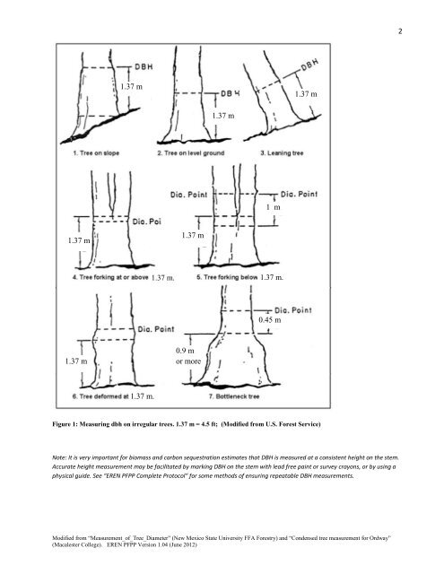 Permanent Forest Plot Project (PFPP) - EREN