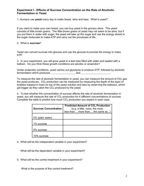 Alcoholic Fermentation in Yeast - Serendip