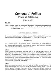Bando vendita locali commerciali 2013 - Comune di Pollica