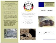 Gopher Tortoise Brochure - Seminole Tribe of Florida