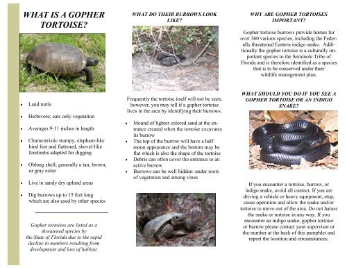 Gopher Tortoise Brochure - Seminole Tribe of Florida