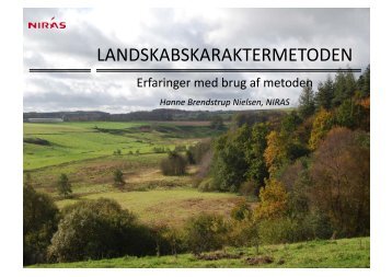 LANDSKABSKARAKTERMETODEN - Dansk Byplanlaboratorium