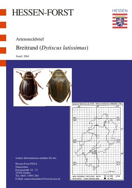 Artensteckbrief für die FFH Anhang II-Art Breitrand Dytiscus ...