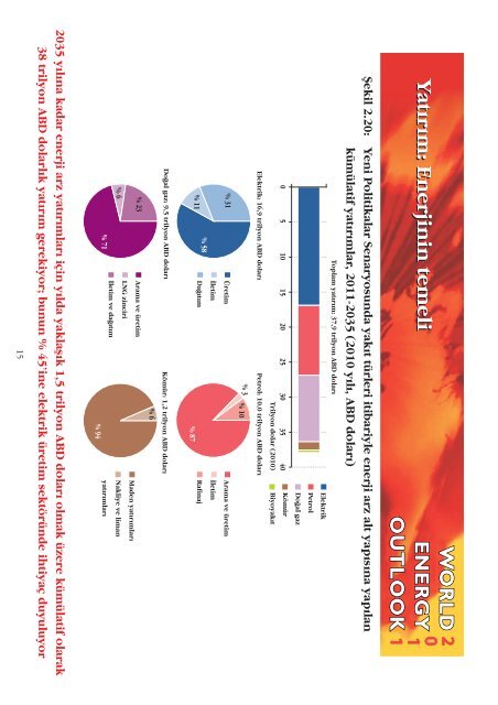 Turkish Version of the Executive Summary of the WEO-2011