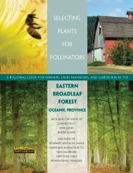 Eastern Broadleaf Forest (Oceanic) - Pollinator Partnership