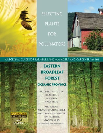 Eastern Broadleaf Forest (Oceanic) - Pollinator Partnership