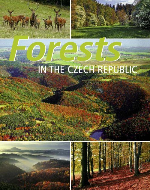 Forests in the Czech Republic (1) - University of Alberta