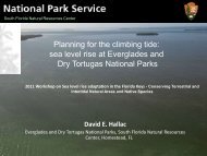 David Hallac - National Park Service
