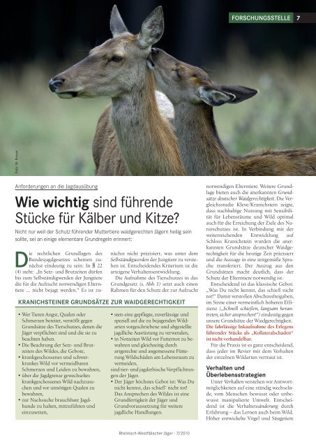 Wie wichtig sind fÃ¼hrende StÃ¼cke fÃ¼r KÃ¤lber und Kitze?