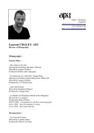 Laurent CHALET, AFC - API Corp