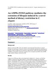 An AMPK-FOXO pathway mediates the extension of lifespan ...