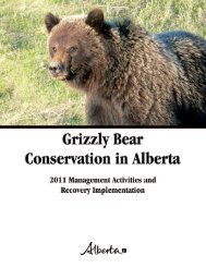Grizzly Bear Conservation in Alberta - SRD.Alberta.ca - Government ...