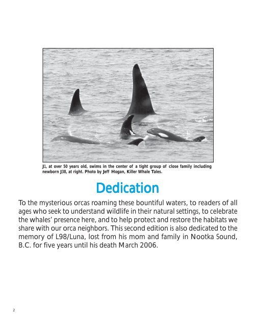 Orcas In Our Midst - Orca Network