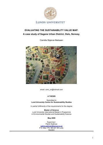 EVALUATING THE SUSTAINABILITY VALUE MAP: A case ... - lumes