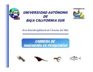 INGENIERÍA EN PESQUERÍAS.pdf - Facultad de Ciencias Marinas