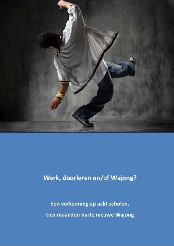 Werk, doorleren en/of Wajong?