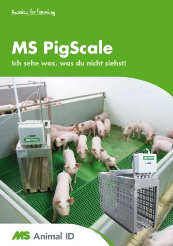MS PigScale - Schippers