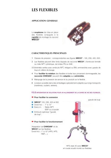 LES FLEXIBLES - FCE
