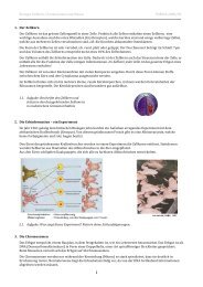 Biologie Zellkern, Chromosomen und Mitose VORSSA ... - Caucau.ch