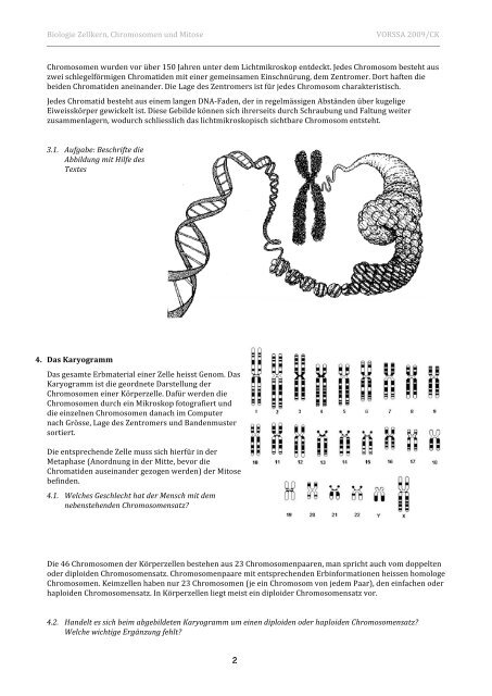 Biologie Zellkern, Chromosomen und Mitose VORSSA ... - Caucau.ch