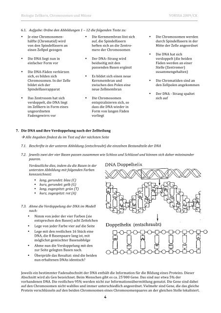 Biologie Zellkern, Chromosomen und Mitose VORSSA ... - Caucau.ch