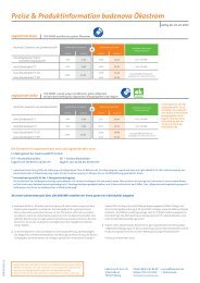 Preise & Produktinformation badenova Ökostrom