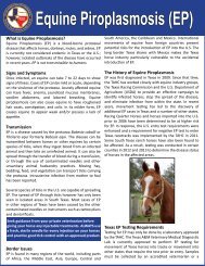 TAHC Piroplasmosis Brochure - Texas Animal Health Commission