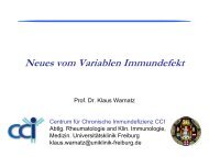 Prof. Dr. Klaus Warnatz - DSAI