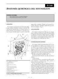 AnatomÃ­a quirÃºrgica del intestino delgado. - sacd.org.ar