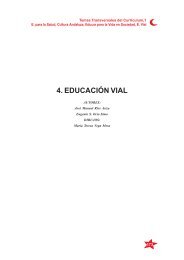 4. EDUCACIÓN VIAL - Programa de Seguridad de Tránsito