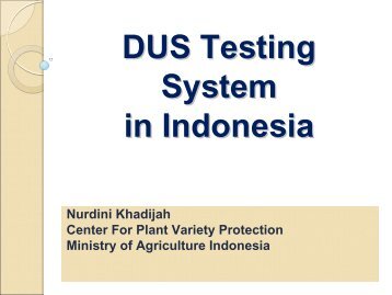 DUS Testing System in Indonesia (PDF/1.77MB)