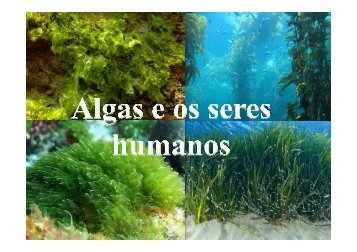 as algas sÃ£o utilizadas - Fernando Santiago dos Santos