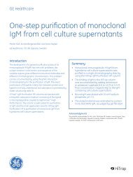 One-step purification of monoclonal IgM from cell - GE Healthcare ...