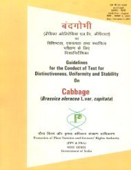 Cabbage - Protection of Plant Varieties & Farmers