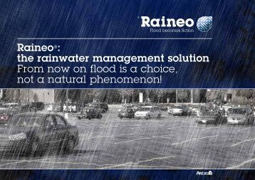 Raineo - Pipelife International