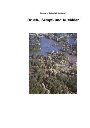 Bruch-, Sumpf- und Auwälder